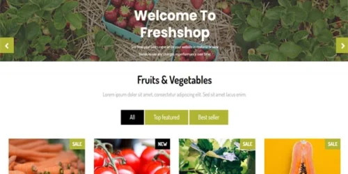 Design for e-commerce Freshshop